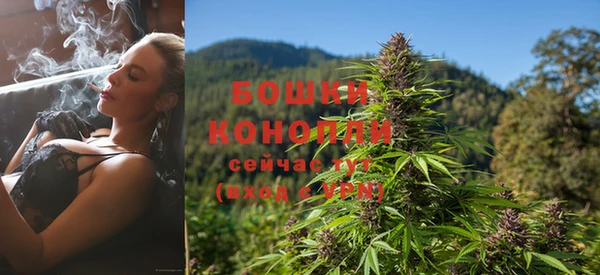 спайс Мегион