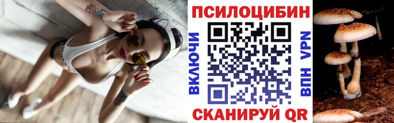 купить   Сухой Лог  Галлюциногенные грибы MAGIC MUSHROOMS 