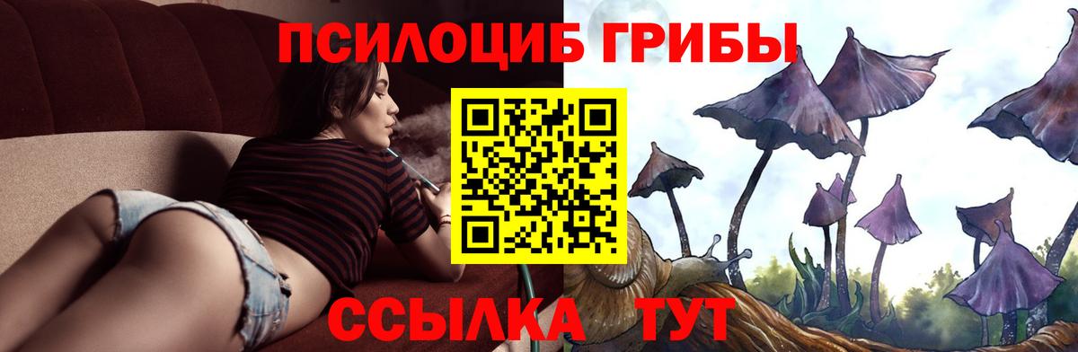 Псилоцибиновые грибы прущие грибы  Галлюциногенные грибы Cubensis  купить наркоту  Вход с VPN  Сухой Лог 